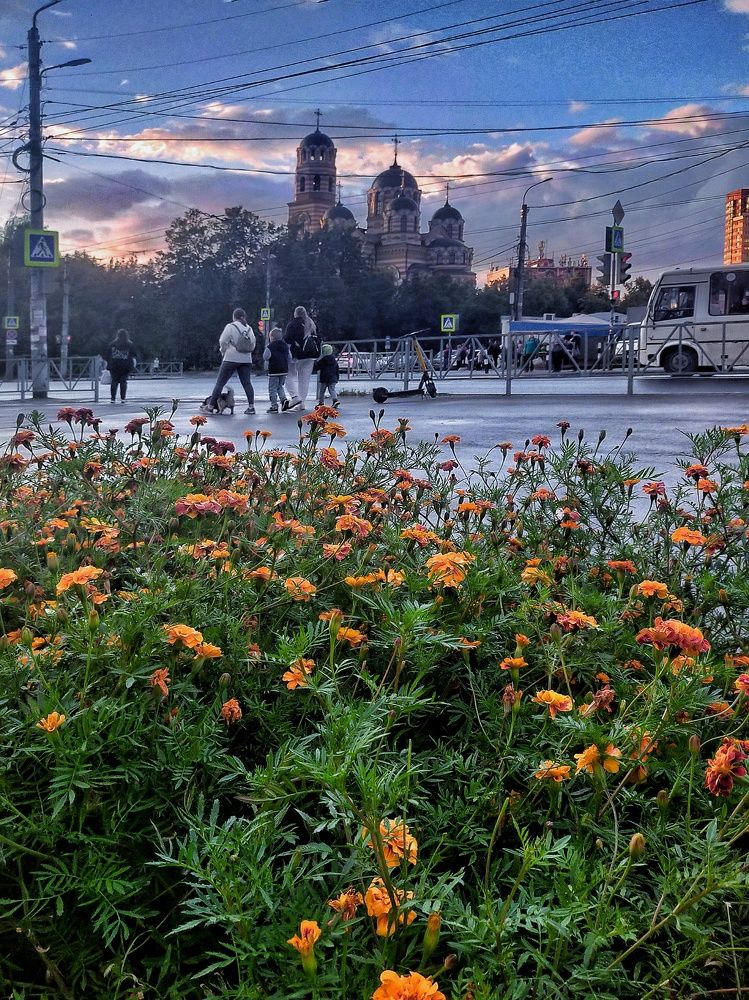 Photograph by Ольга Мартьянова