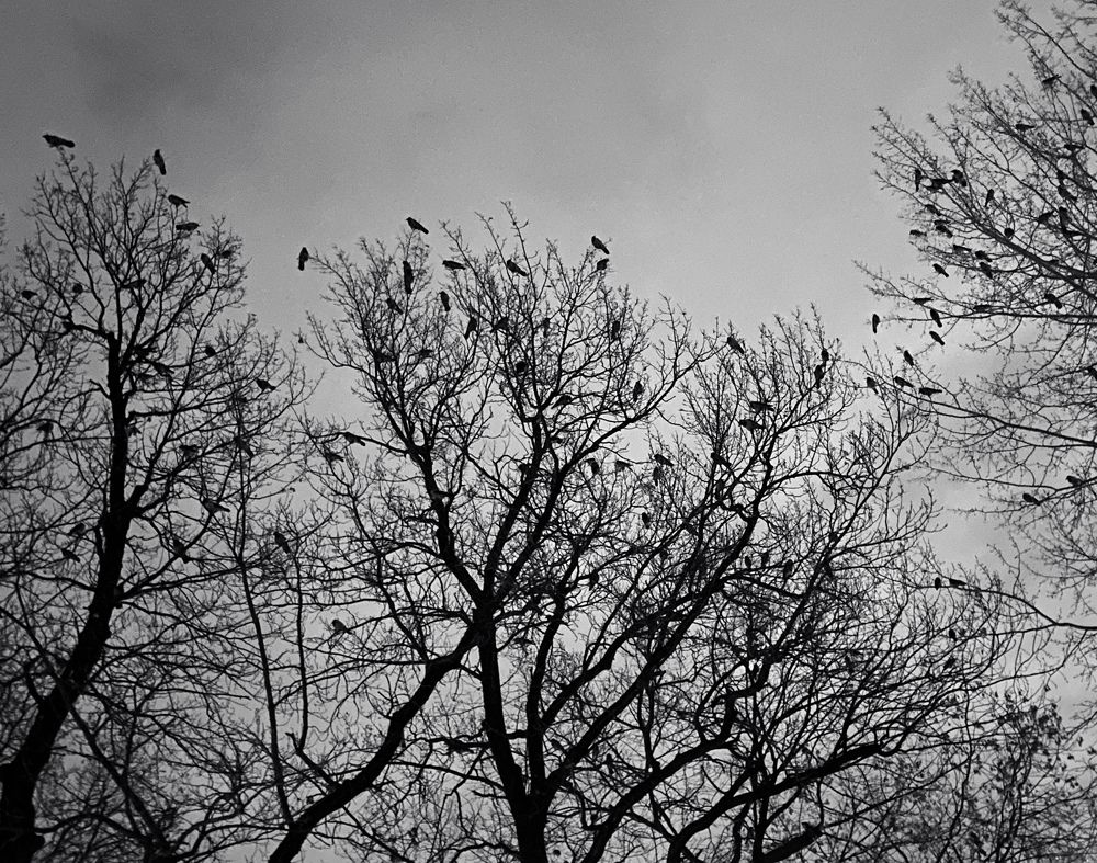 Photograph by Дарья Владимирова