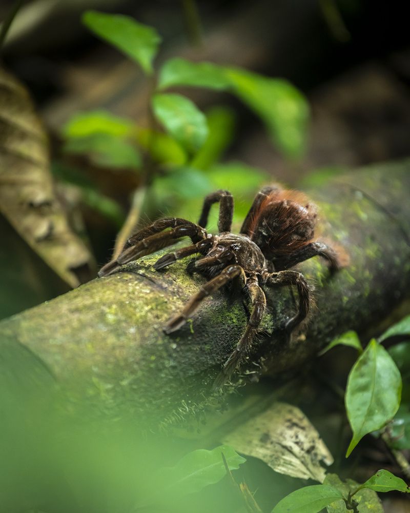 Photograph by Niko Jacob