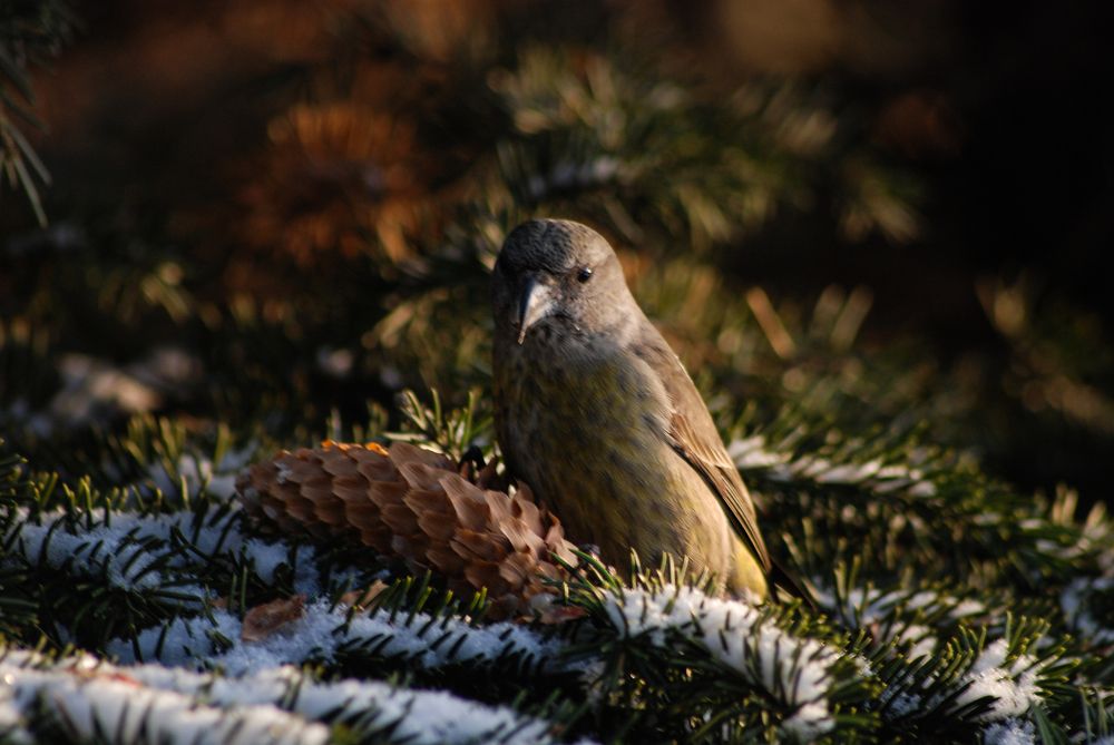 Photograph by Дарья Эпштейн