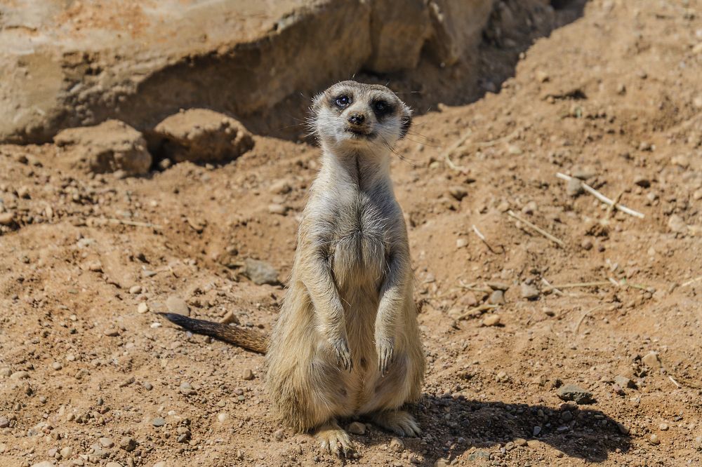 Photograph by Андрей К. Белов