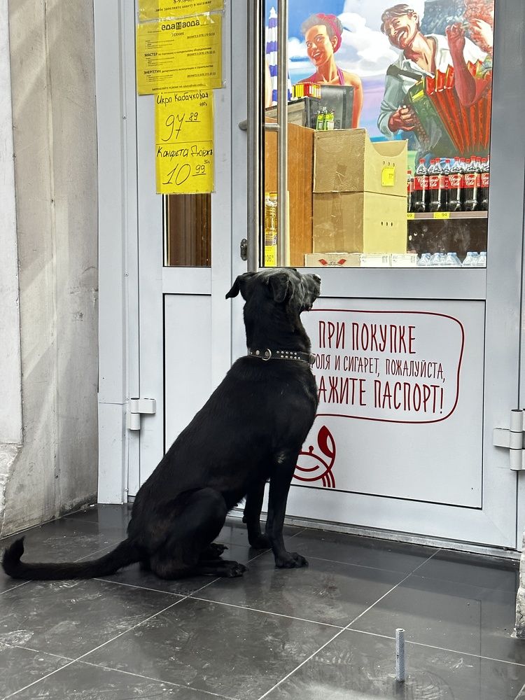 Photograph by Анна Лепихина