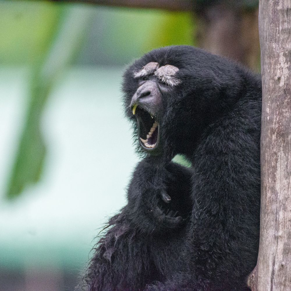 Photograph by ratnadeep raazz chatterjee