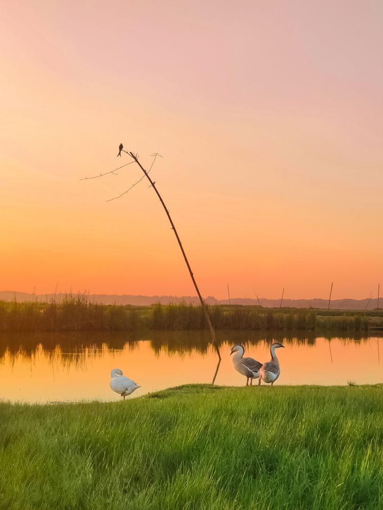 Photograph by Didarul Mazumder