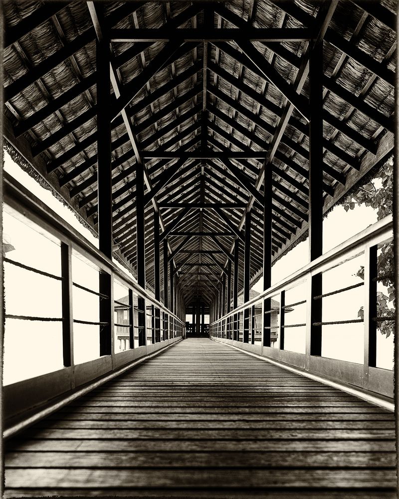 Перспектива