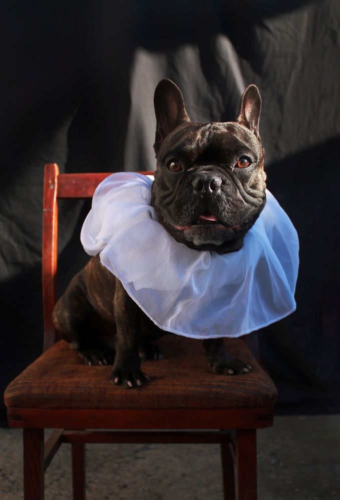 Photograph by Светлана Шиляева