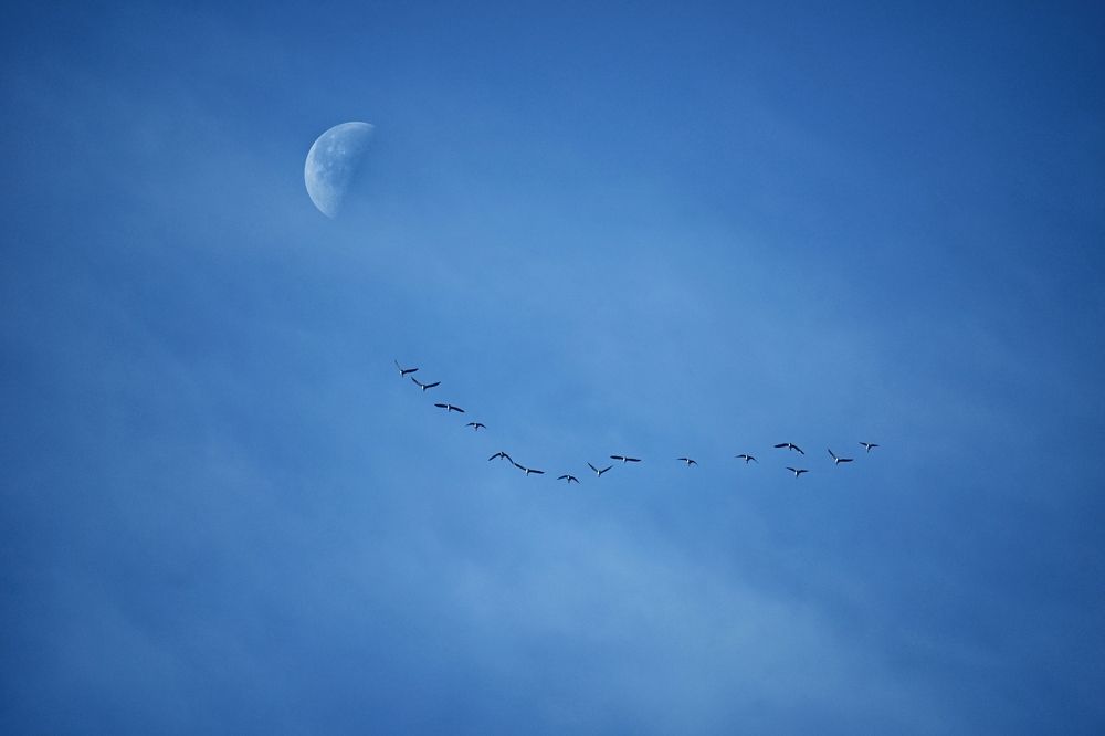 Photograph by Анастасия Скачек