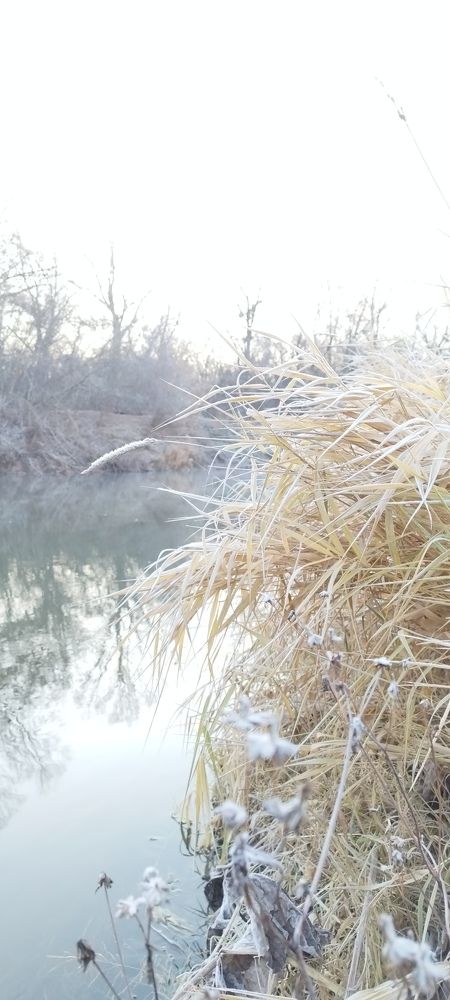 Photograph by роман меринов