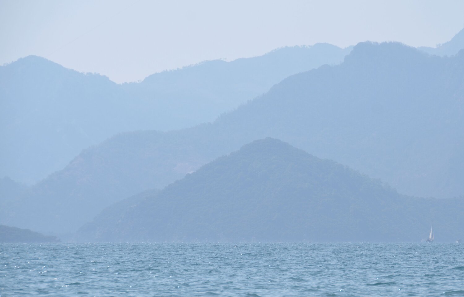 Photo #9802568