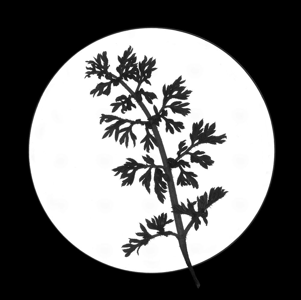 Фотография автора Ketov Vladimir