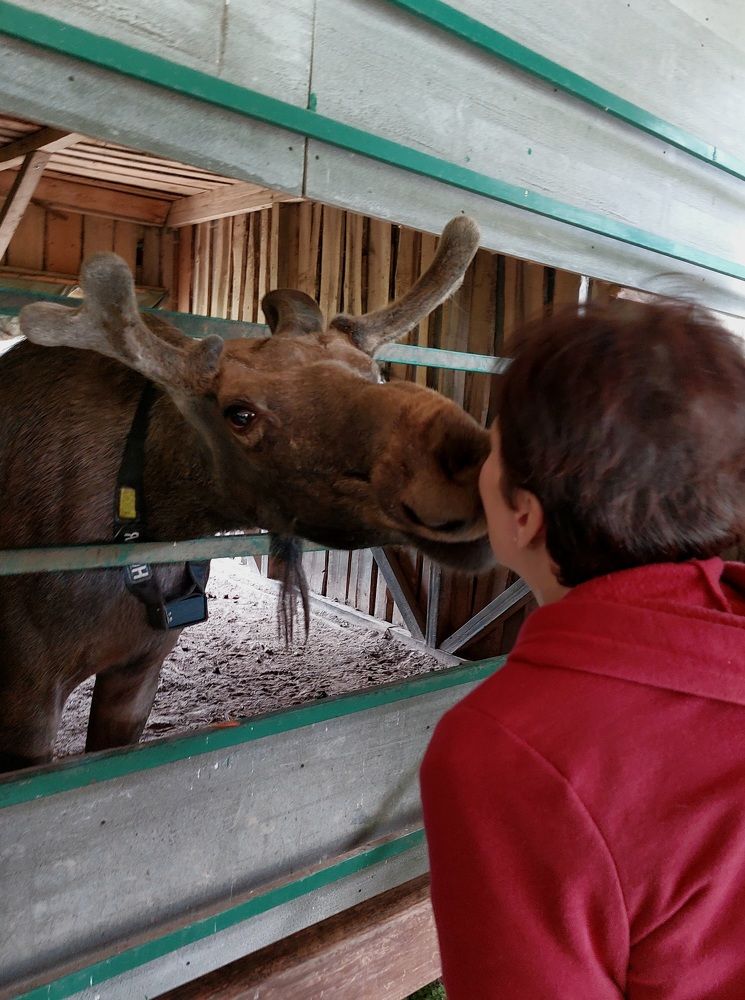 Photograph by Светлана Шиляева