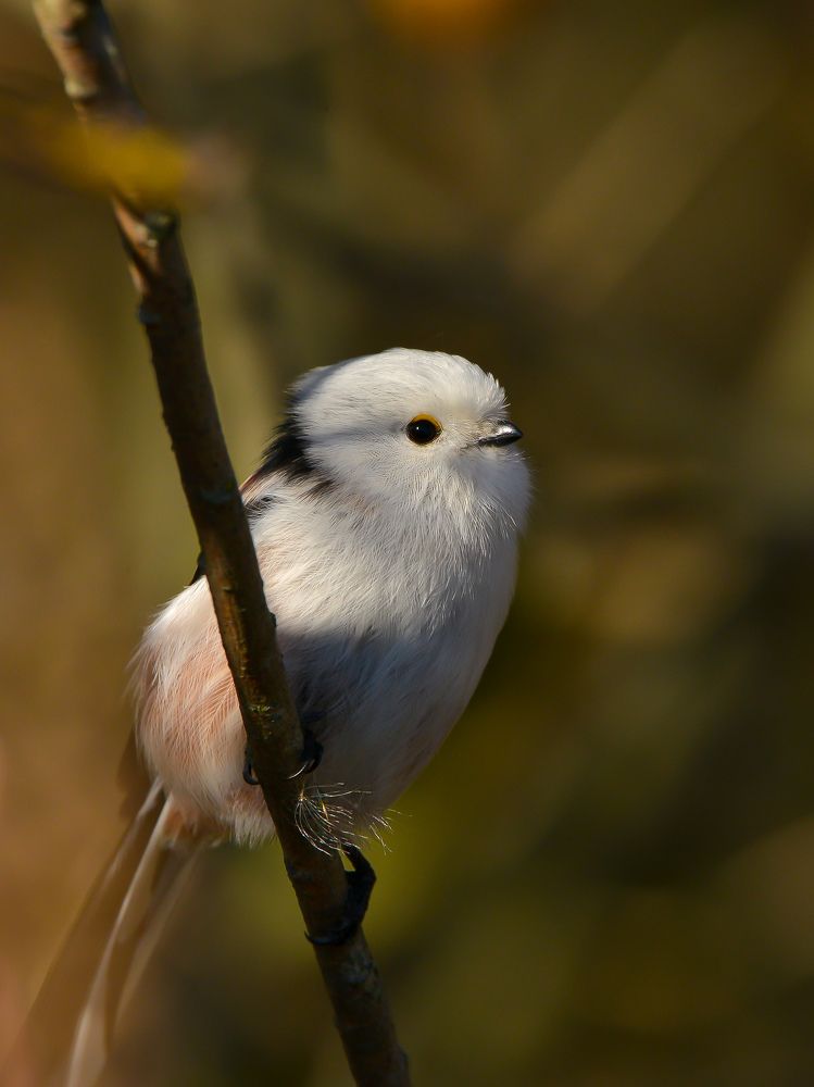 Photograph by Валерия Ковалева