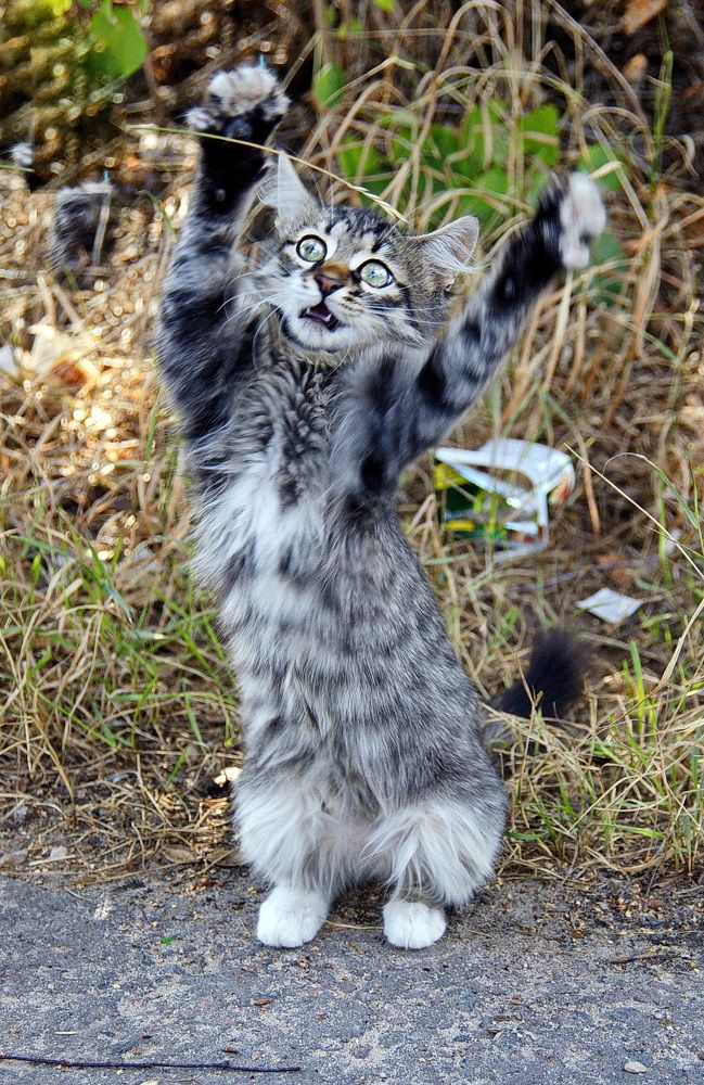 Photograph by Жиляев Евгений