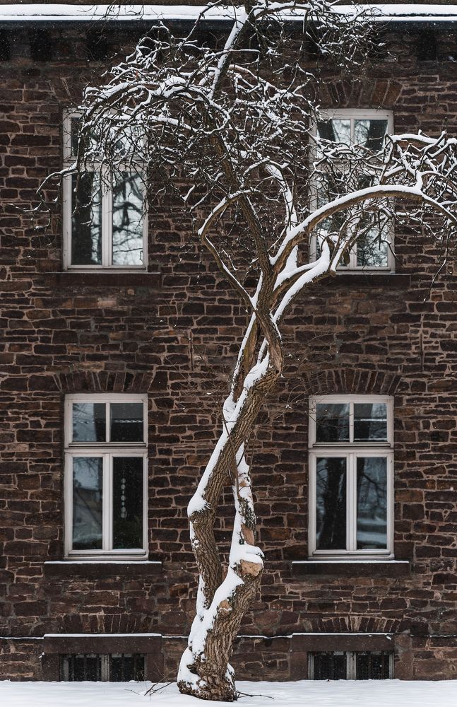 Photograph by Екатерина Карпова