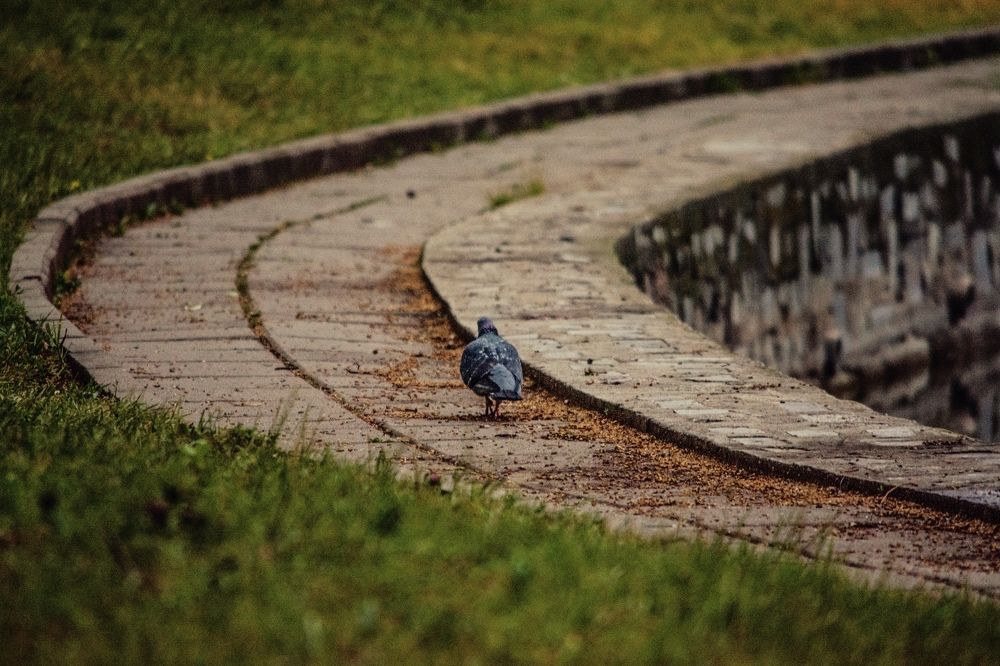 Photograph by Анна Савина