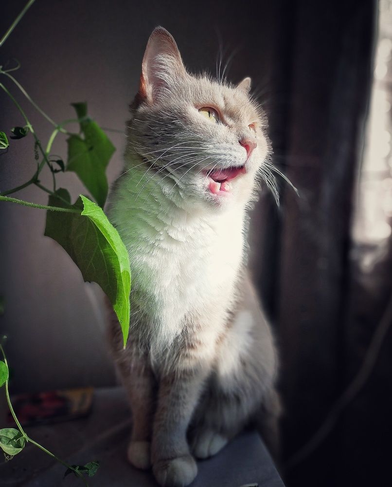 Photograph by Ольга Мартьянова