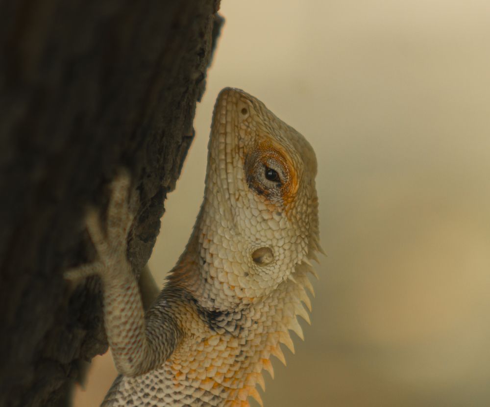 Photograph by Meer Dost Rahim