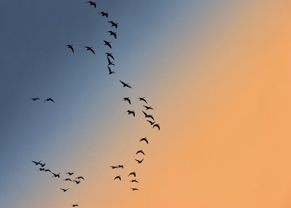 Photograph by Илья