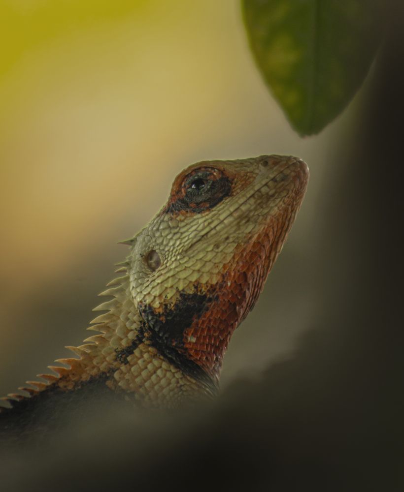 Photograph by Meer Dost Rahim