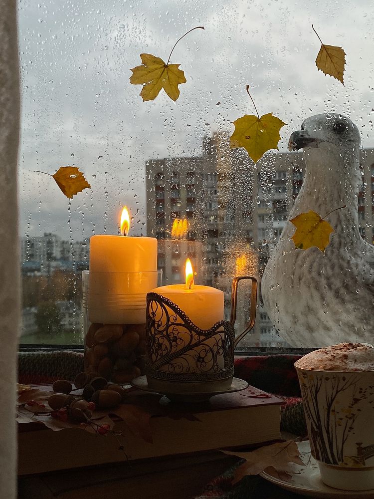 Любопытная Варвара