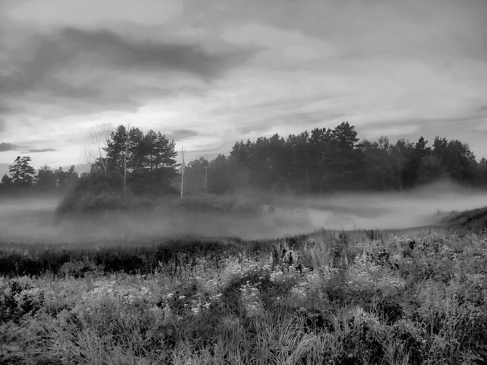 Photograph by Алёна Пшеленская