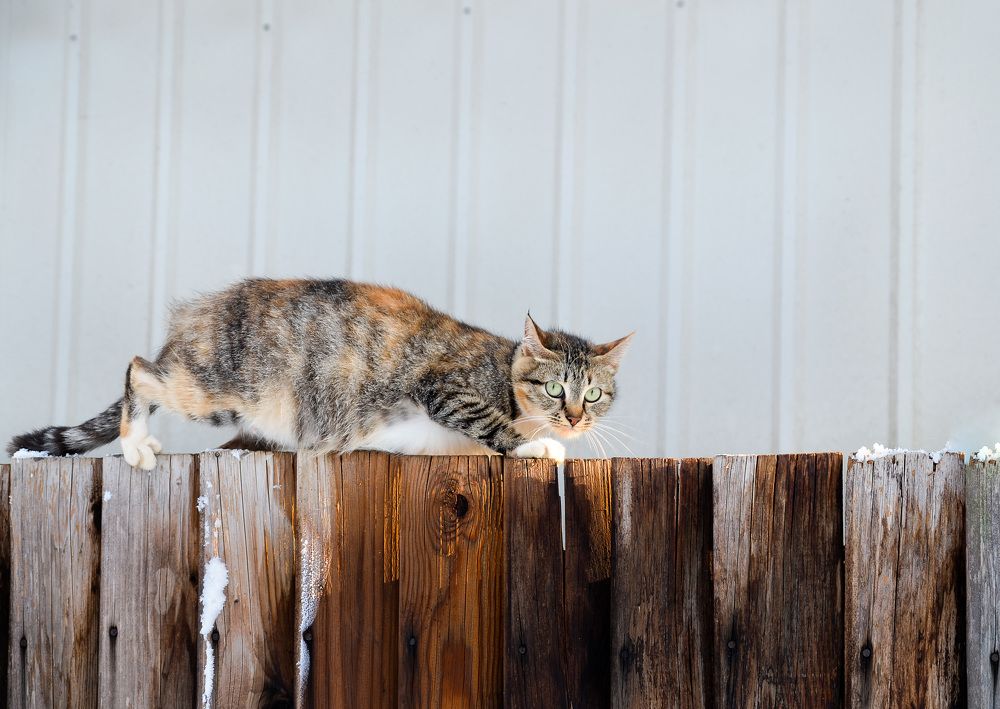 Photograph by Валерий Верещако