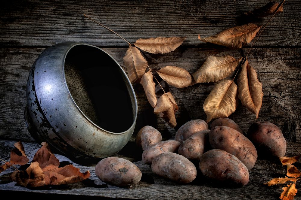 Photograph by Vitaliy Saposhnikov