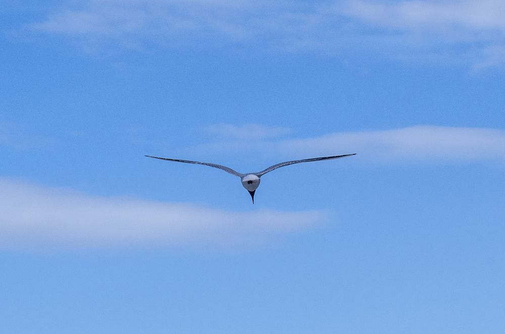 Photograph by Оксана Макарова