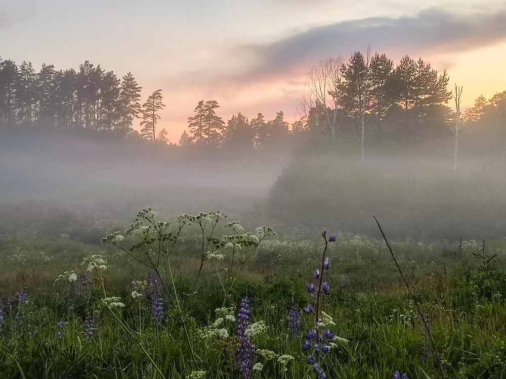 Photograph by Алёна Пшеленская