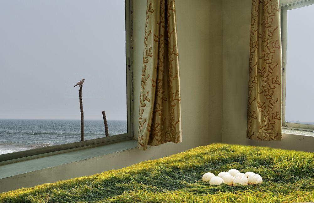 Photograph by Kaushik Dolui