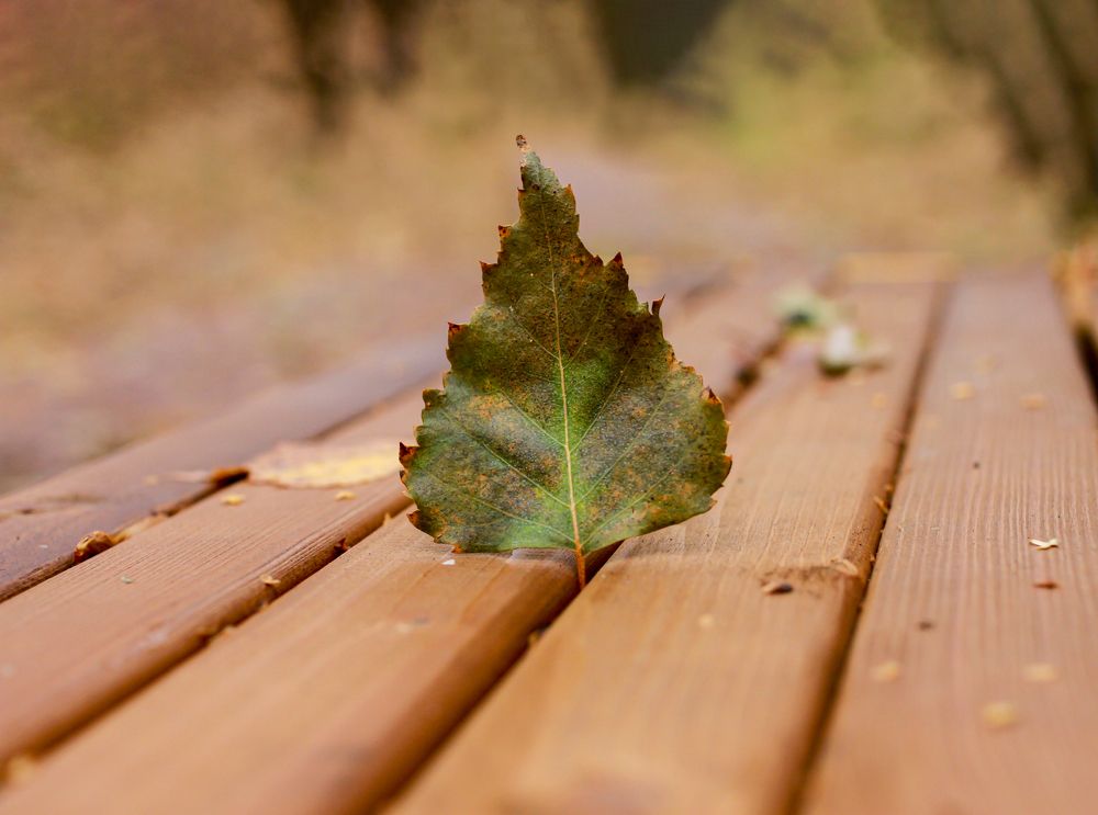 Photograph by Михаил Магнитов
