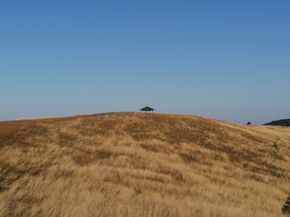 Фотография автора Danica Utjesinovic