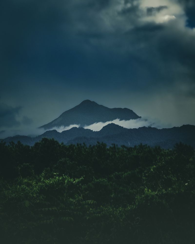 Photograph by Dhrubajyoti Bhattacharyya