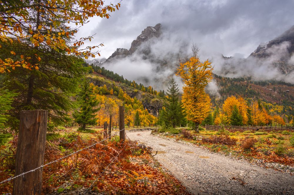 Photograph by Сергей Гук