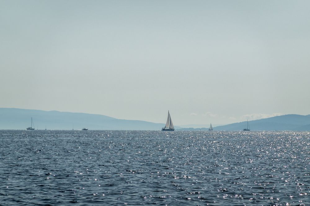 Photograph by Егор Кошкин