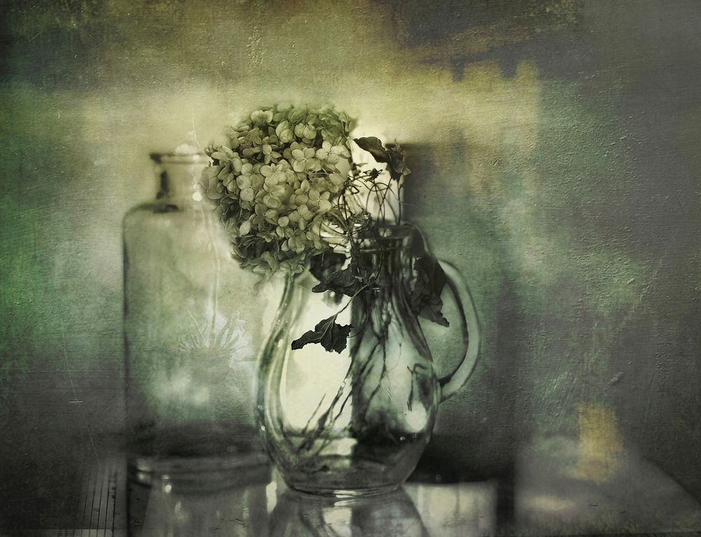 Натюрморт с гортензией и одуванчиком