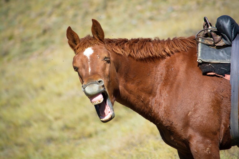 Photograph by Юсиф Саркаров