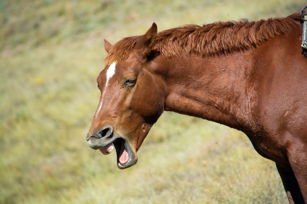 Photograph by Юсиф Саркаров