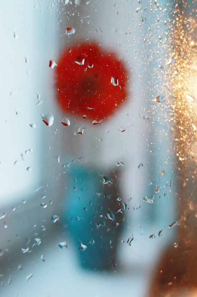 Photograph by Анна Штейнмиллер