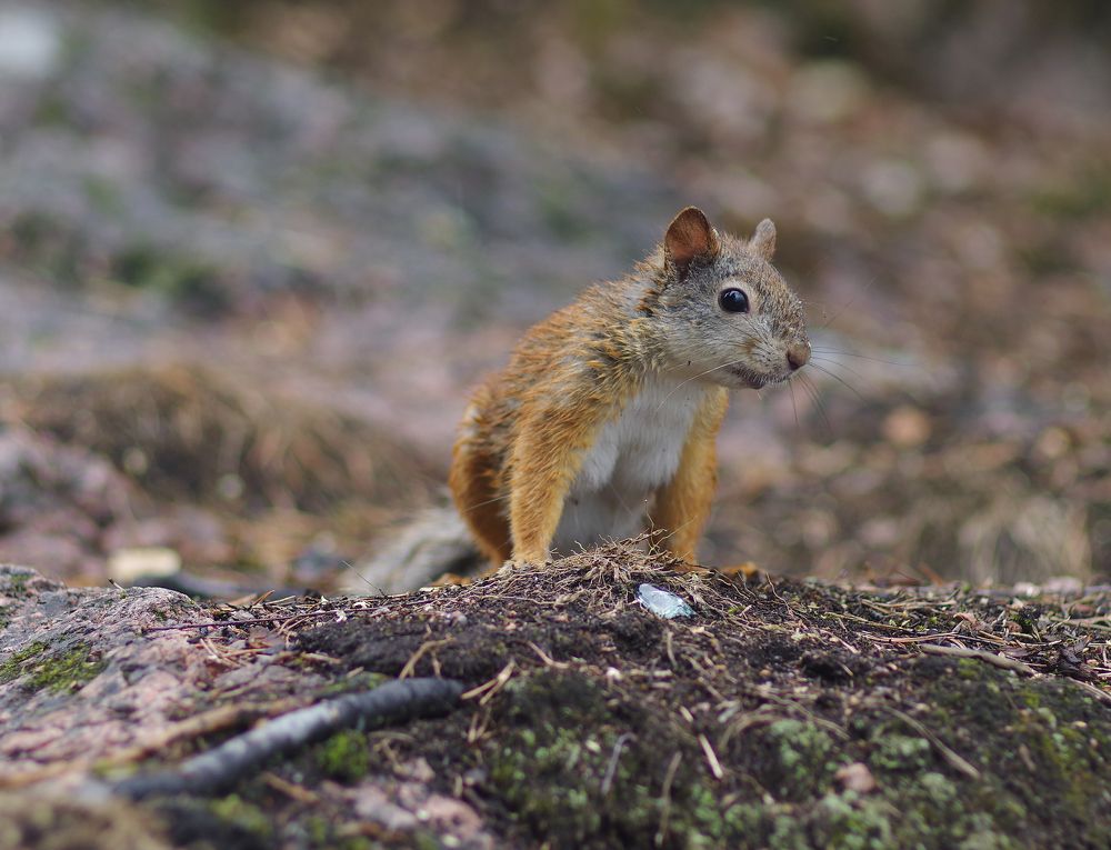 Photograph by Оксана Макарова