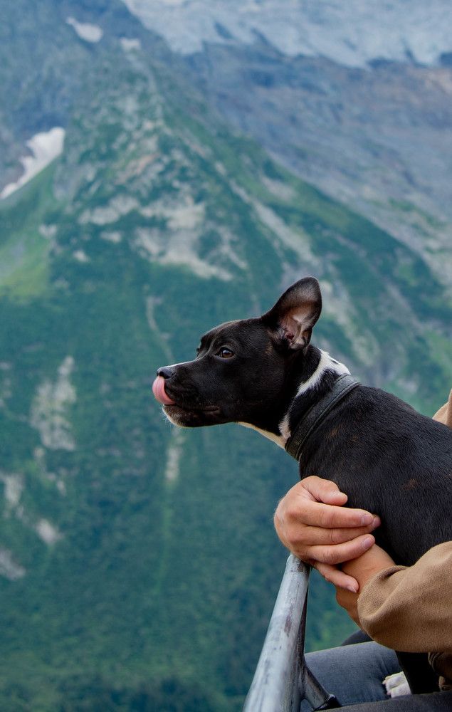 Фотография автора Maria Gomolko