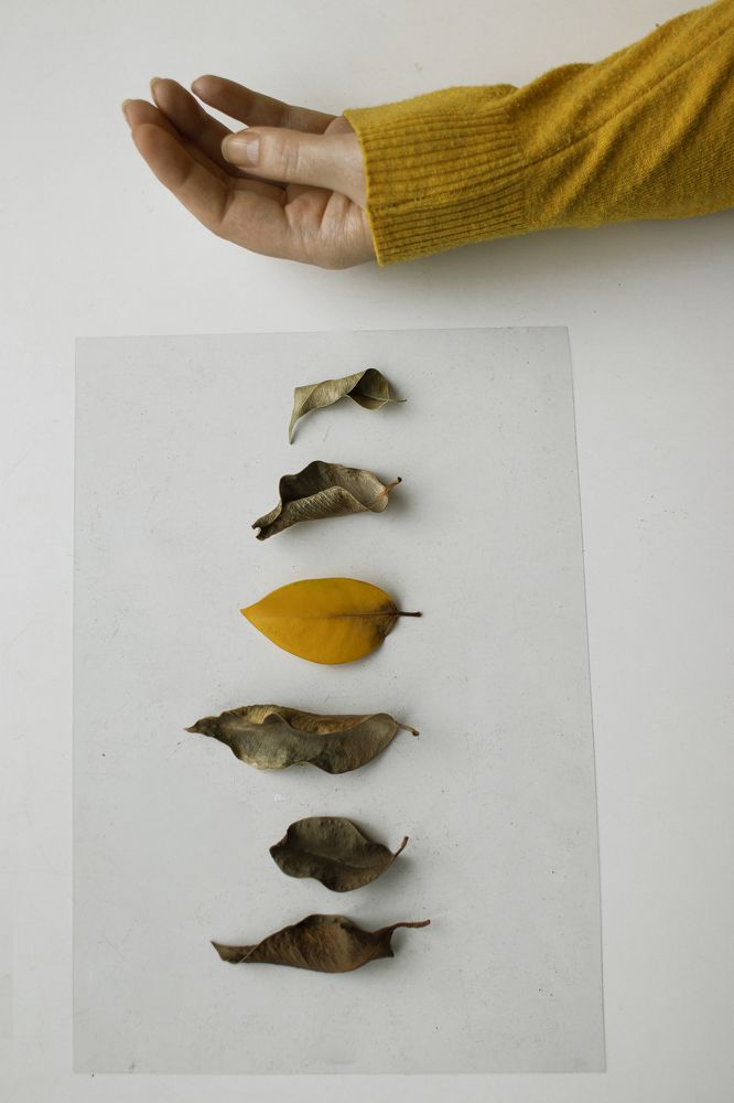 Photograph by Анна Штейнмиллер