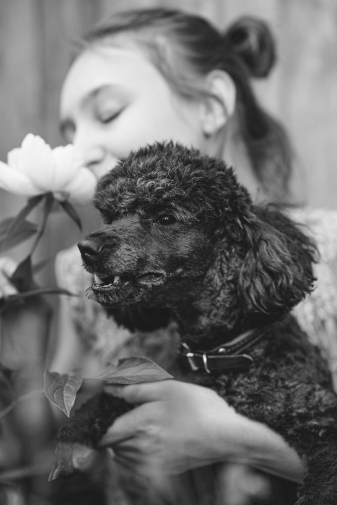 Фотография автора Анна Хабарова