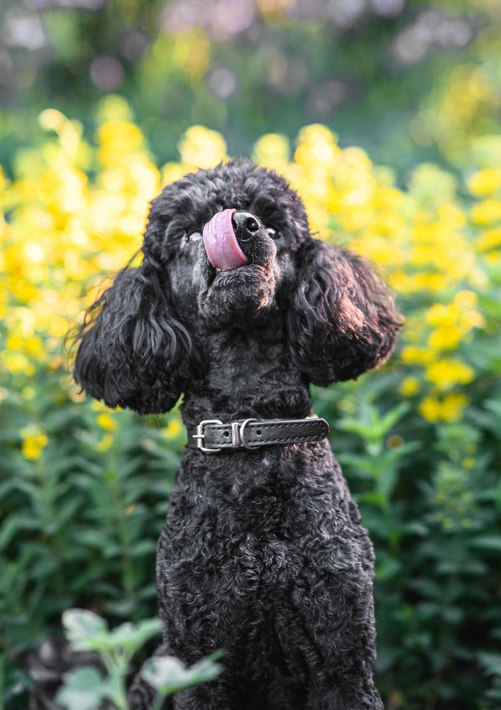 Фотография автора Анна Хабарова