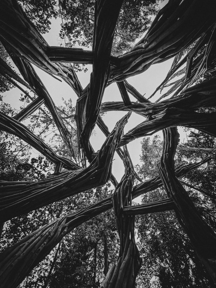 Photograph by Mikhail Smirnov