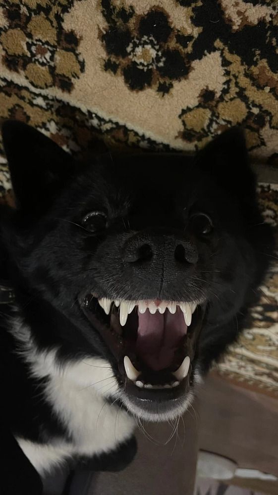 Photograph by Alina Andreevna