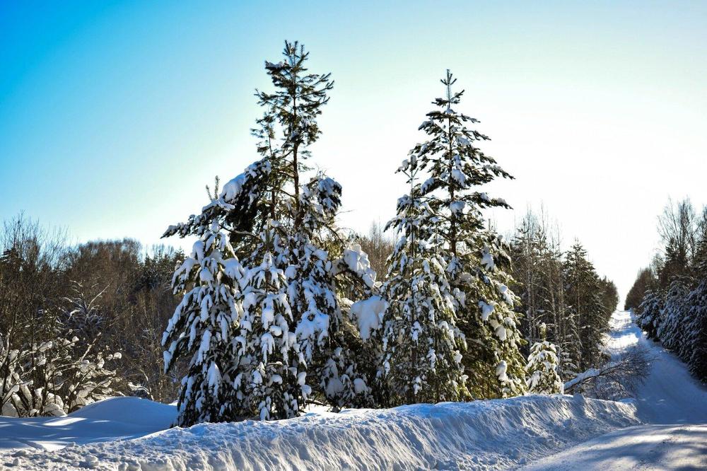 Photograph by Сауия Назмутдинова