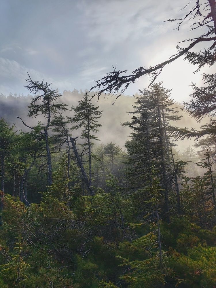 Photograph by Екатерина Исаева