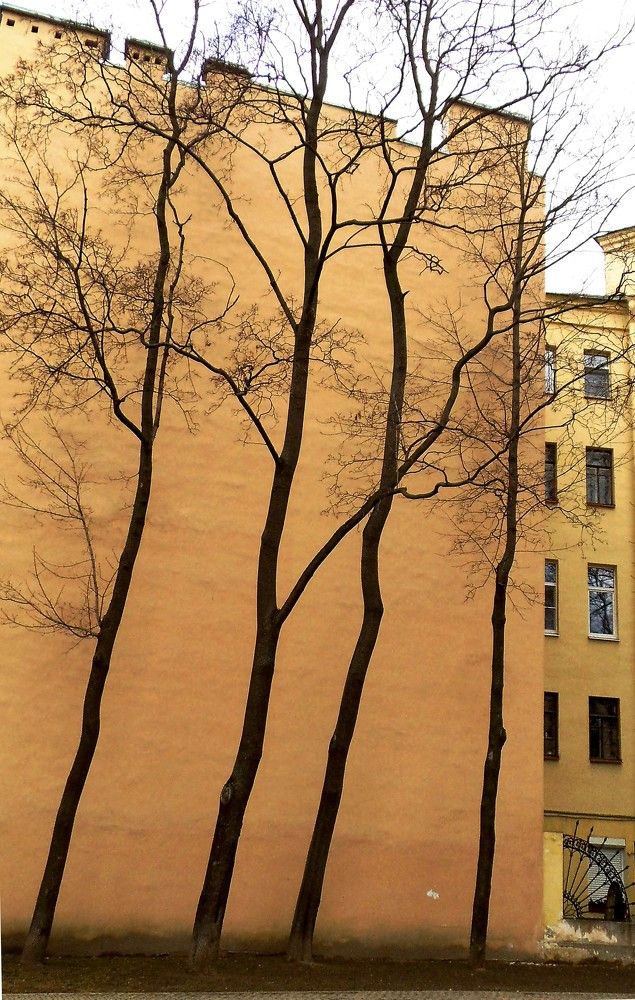 Photograph by Татьяна Красавцева