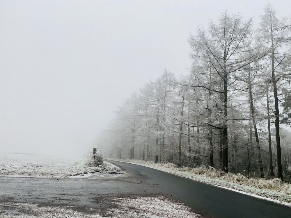 Photograph by stephanie taylor